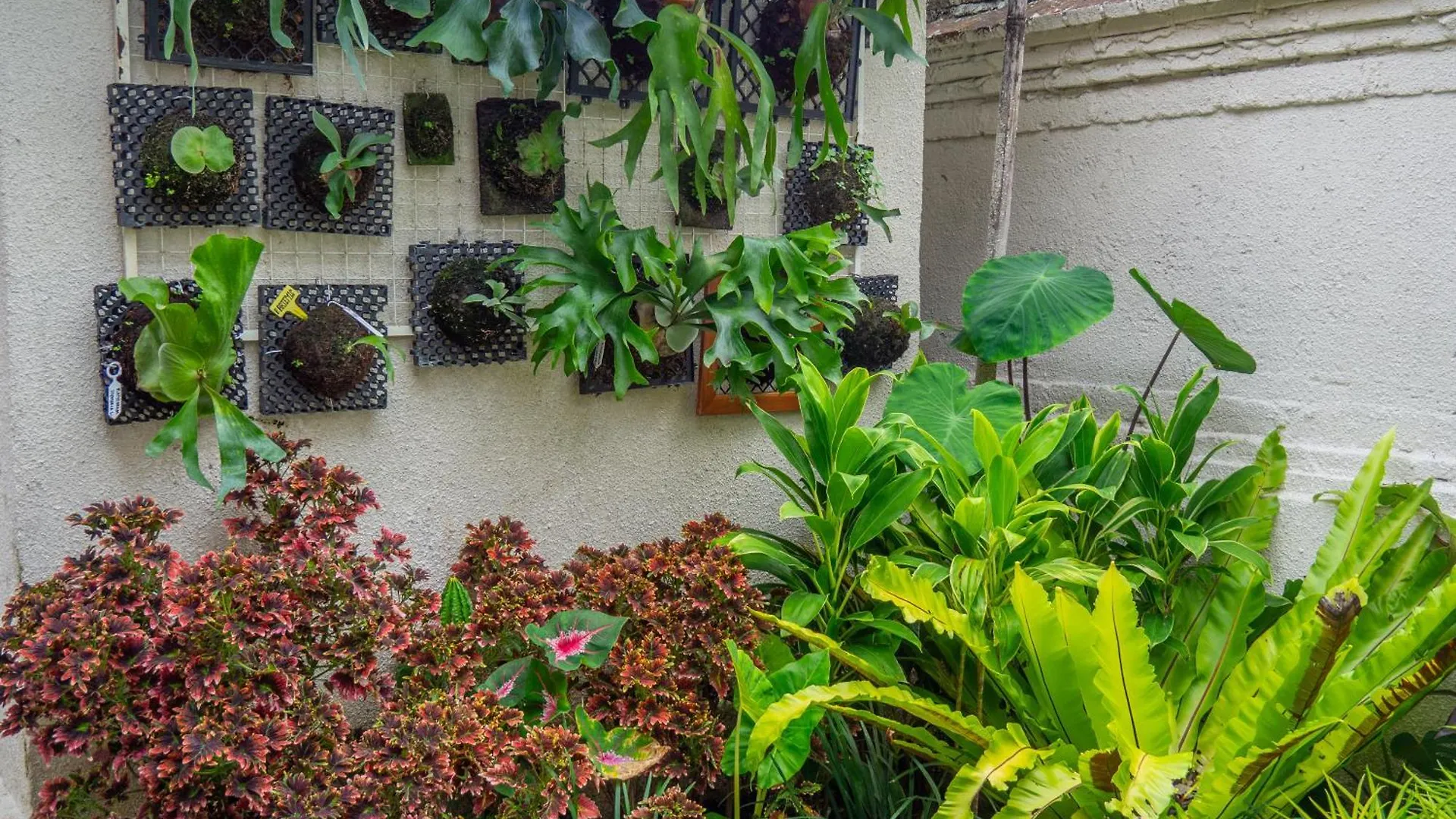 Arumasta Ubud 招待所