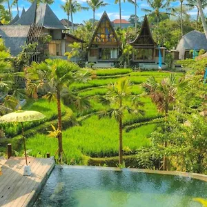 Station touristique Menzel, Ubud
